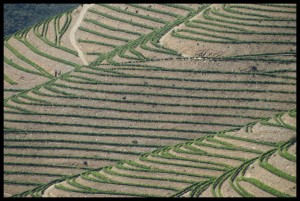 pict8105_3